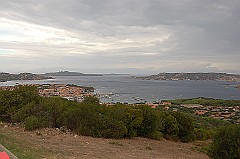 DSC_1537
