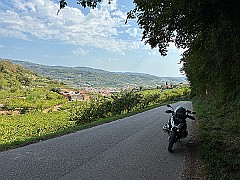 IMG_0084