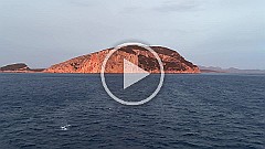 IMG_0106